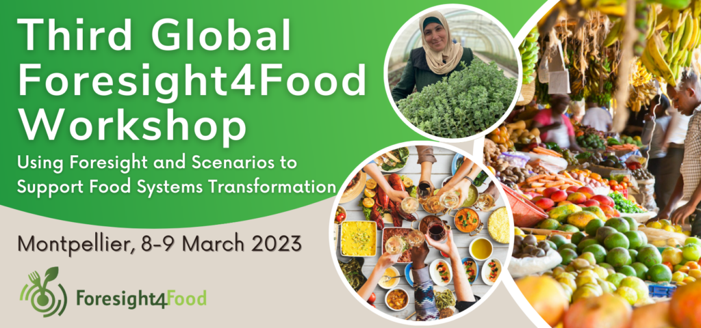 Third Global Foresight4Food Workshop - Foresight4Food